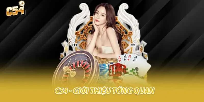 C54 | Router Archer Với Chính Sách Uy Tín | +88k Ngay 29 Giới Thiệu Nhà Cái Uy Tín C54 Ngành Gambling